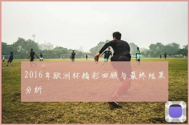 2016年欧洲杯精彩回顾与最终结果分析