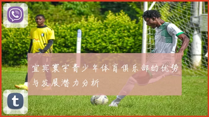 宜宾寰宇青少年体育俱乐部的优势与发展潜力分析